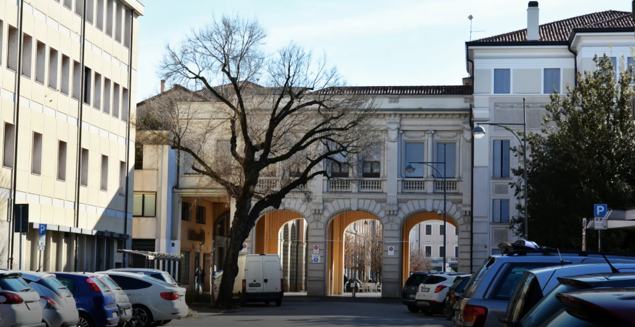 Il vecchio olmo a San Donà di Piave