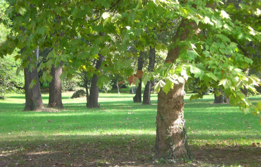 IL Parco Fluviale a San Donà di Piave come era prima dei lavori di rifacimento
